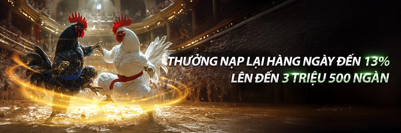 Hình ảnh giới thiệu về no789 code, nền tảng cá cược trực tuyến uy tín
